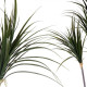 Decorative Plant Narrow leaf Green Plastic (80 x 140 x 85 cm)