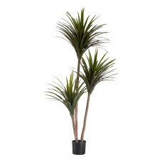 Decorative Plant Narrow leaf Green Plastic (80 x 200 x 105 cm)