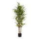 Decorative Plant Bamboo Green Plastic (80 x 150 x 80 cm)