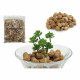 Set of Stones Polished surface (5 kg)