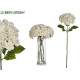 Decorative Flower Green
