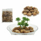 Set of Stones Polished surface (5 kg)