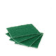 Set de Estropajos Verde Fibra abrasiva (22 Unidades)