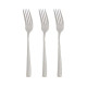 Fork Set Silver Stainless steel 2,5 x 21,3 x 0,3 cm (12 Units)