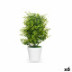 Planta Decorativa Ibergarden 548 Plástico Grande (6 Unidades)