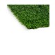Astro-turf Ibergarden Green 12 x 12 x 100 cm Carpet