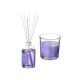 Air Freshener Set Acorde E-924A Lavendar 100 ml (6 Units)