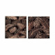 Canvas Leaf of a plant Black 1,5 x 40 x 40 cm (16 Units)