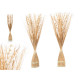 Decorative Flower DD115007 Natural 14 x 100 x 10 cm 8 x 100 x 18 cm (4 Units)