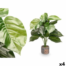 Decorative Plant Ibergarden 12 Plastic Magnesium 42 x 42 x 78 cm (4 Units)