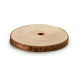 Tronco Decorativo Ø 24,5 cm Marrón (12 Unidades)