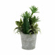 Planta Decorativa Ibergarden XD18-1182A-B Plástico Cemento 15 x 24 x 15 cm (12 Unidades)