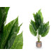 Decorative Plant Ibergarden 11 Plastic Magnesium 50 x 50 x 84 cm (4 Units)