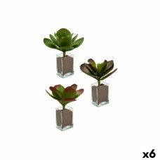 Planta Decorativa Ibergarden YD0001 Plástico Hojas Grande 27 x 29 x 27 cm Bicolor (6 Unidades)