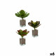 Planta Decorativa Ibergarden YD0001 Plástico Hojas Grande 27 x 29 x 27 cm Bicolor (6 Unidades)