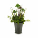 Decorative Plant Ibergarden XD16-819 Cork Plastic Flowers Field 20 x 41 x 20 cm (6 Units)