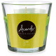 Scented Candle Acorde 260-50H Iris 120 g (12 Units)