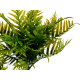 Decorative Plant Ibergarden XD22-1826 Plastic Cement Palm tree 20 x 70 x 20 cm (4 Units)