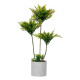 Decorative Plant Ibergarden XD22-1826 Plastic Cement Palm tree 20 x 70 x 20 cm (4 Units)