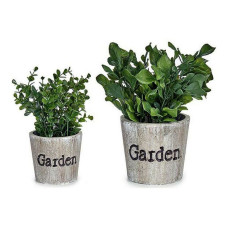 Decorative Plant Ibergarden XD16-710 Plastic 16 x 22 x 16 cm
