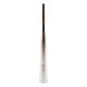 Antena de Coche CS10 Negro Aluminio Regulable