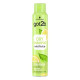 Dry Shampoo Got2b Extra Schwarzkopf Got2b Champú 200 ml