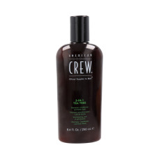 Champú American Crew Crew 3 3 en 1