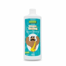 Antioxidant shampoo Ginger Strong Valquer (1000 ml)