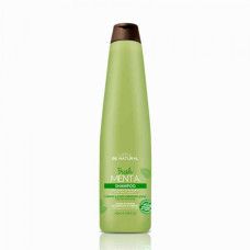 Shampoo Be Natural Mint 350 ml