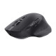Ratón Inalámbrico Trust 24820 Negro 3200 DPI
