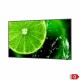 Monitor NEC 60005052 49