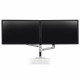 Soporte de Mesa para Pantalla Ergotron 45-248-026 Plateado 24