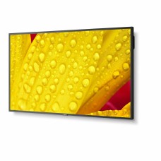 Monitor Videowall NEC ME651 65