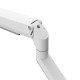 Screen Table Support Neomounts DS70-250WH1 17