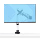 Screen Table Support Startech 1MP1ACG-MONITORARM 17