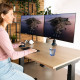 Screen Table Support R-Go RGOVLZE4TWSI 32