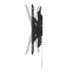 TV Mount Neomounts WL35-750BL16 42