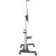 TV Mount Startech STNDMTV100 100