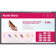 Monitor Videowall Philips 43BDL3651T/00 4K Ultra HD 43