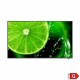 Monitor LCD NEC 60005045 IPS Direct-LED 42,5