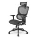 Office Chair Sharkoon Officepal C30M Black