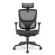 Office Chair Sharkoon Officepal C30M Black