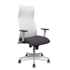 Silla de Oficina P&C 54BR65G Blanco