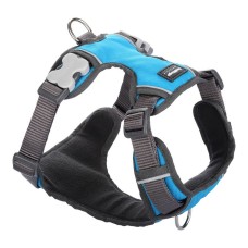 Dog Harness Red Dingo Padded Turquoise Size S