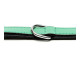 Collar para Perro Gloria Acolchado Verde (30 x 1,5 cm)