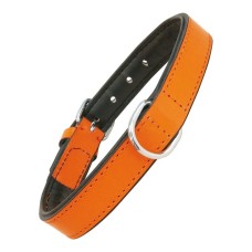 Dog collar Gloria Padded Orange (55 x 2,5 cm)