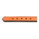 Collar para Perro Gloria Acolchado Naranja (55 x 2,5 cm)