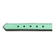 Dog collar Gloria Padded Green (50 x 2,5 cm)