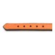 Dog collar Gloria Padded Orange (50 x 2,5 cm)