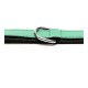 Dog collar Gloria Padded Green (45 x 2 cm)